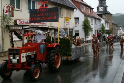 Stachelschwein